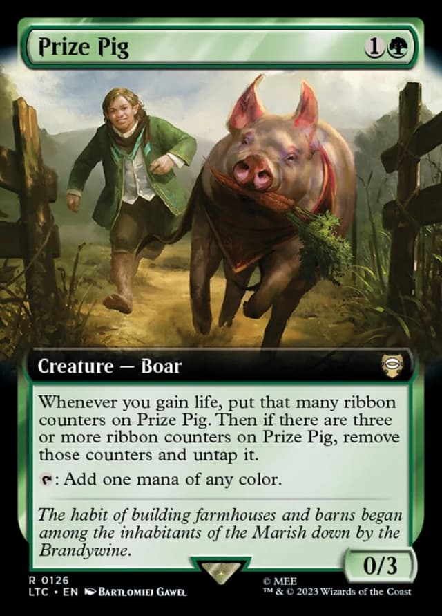 Prize Pig image