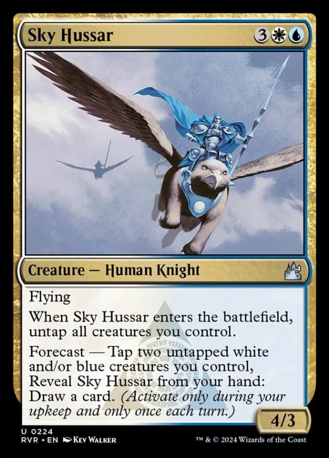 Sky Hussar image