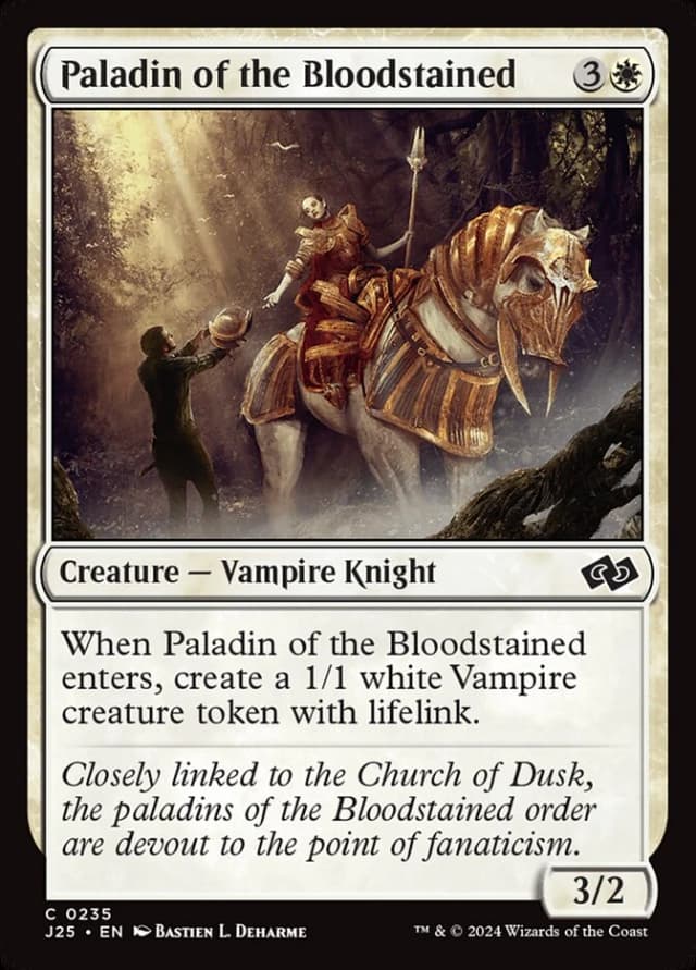 Paladin of the Bloodstained image