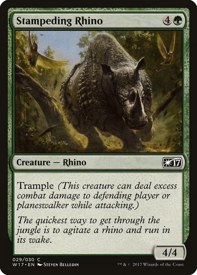 Stampeding Rhino image