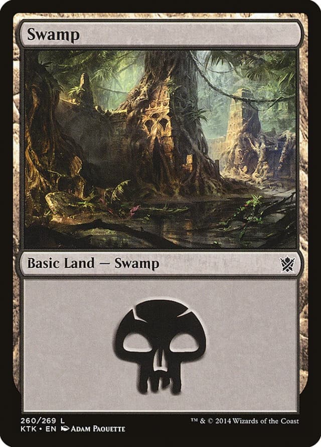 Swamp image
