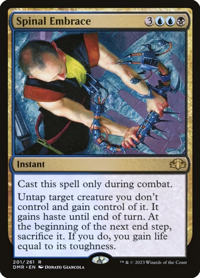 Spinal Embrace image