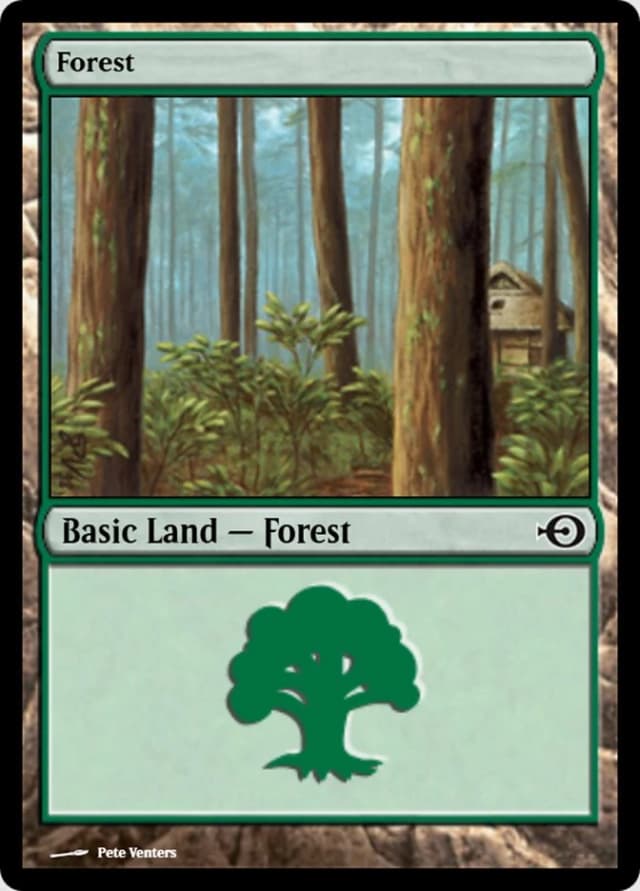Forest image