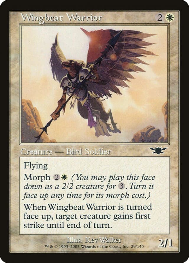 Wingbeat Warrior image
