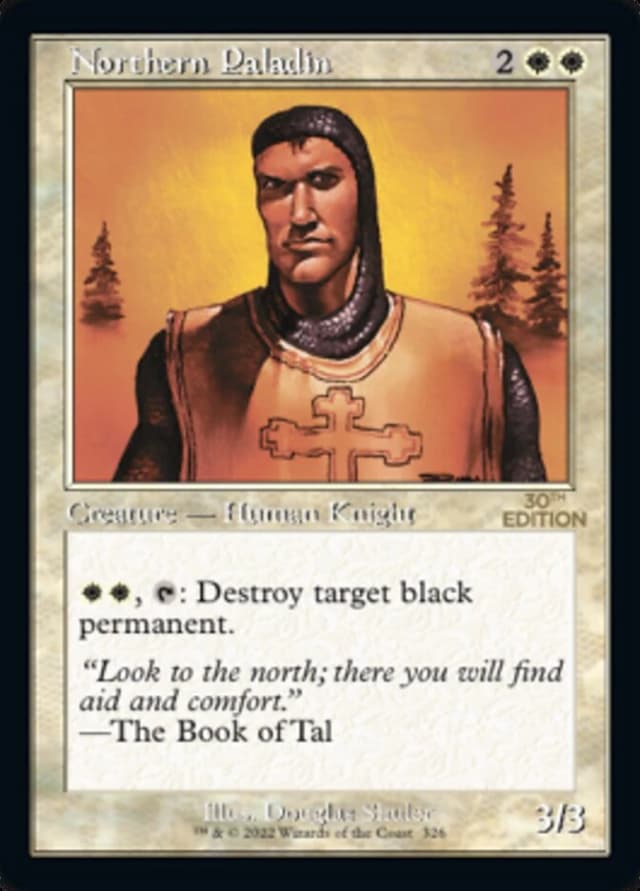 Northern Paladin image