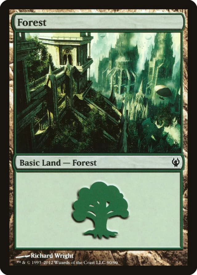 Forest image