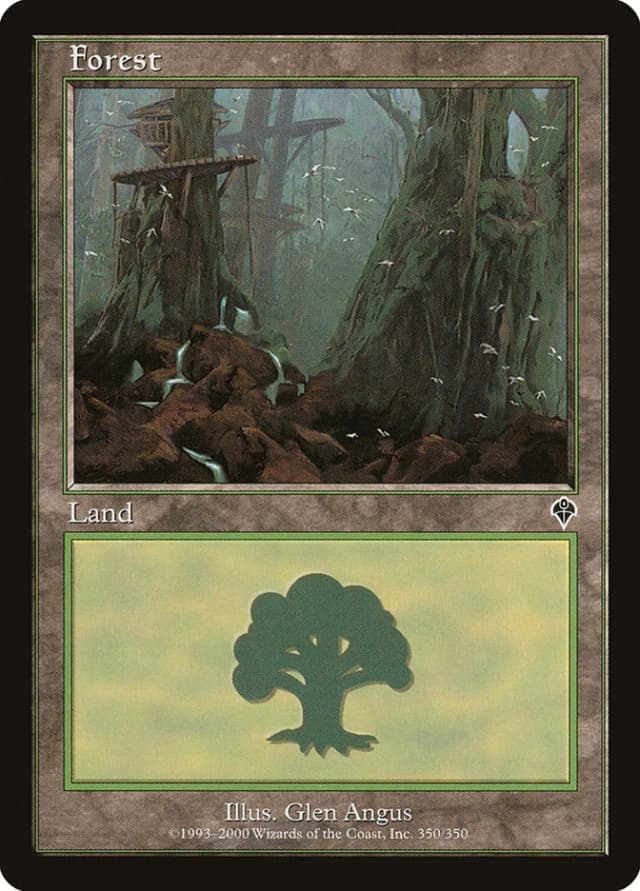 Forest image