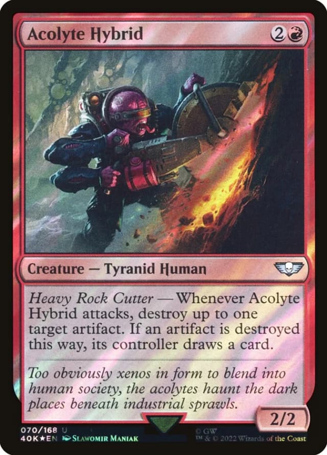 Acolyte Hybrid image