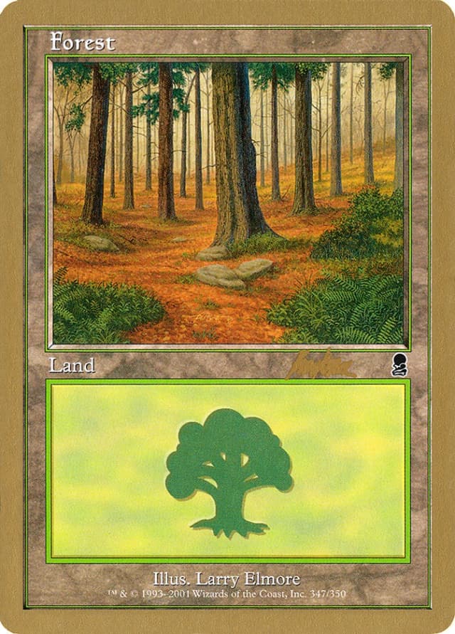 Forest image