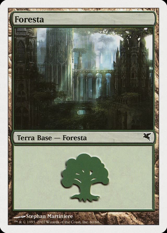 Forest image