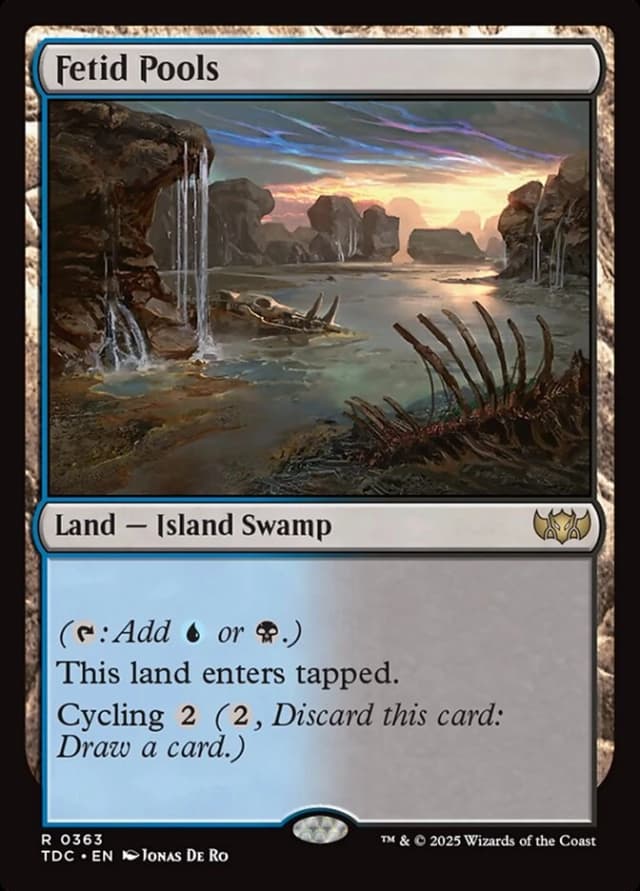 Fetid Pools image
