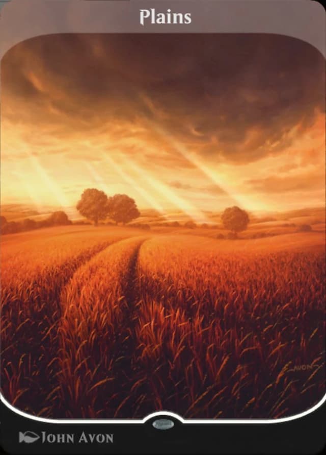 Plains image