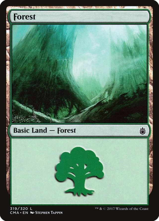 Forest image