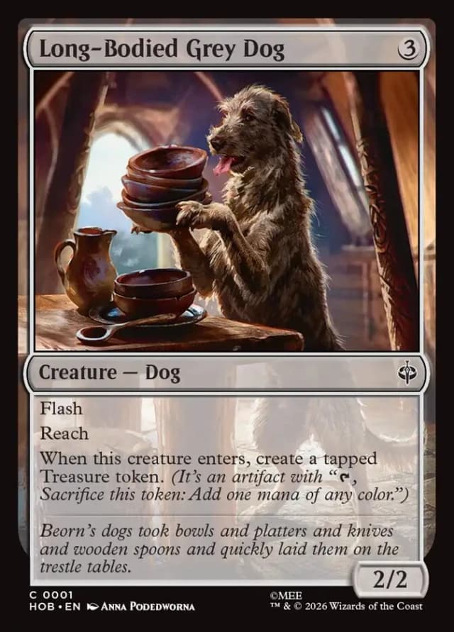 Long-Bodied Grey Dog image