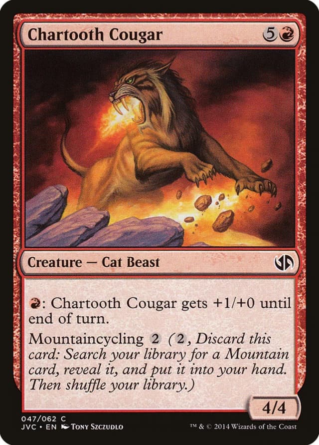 Chartooth Cougar image