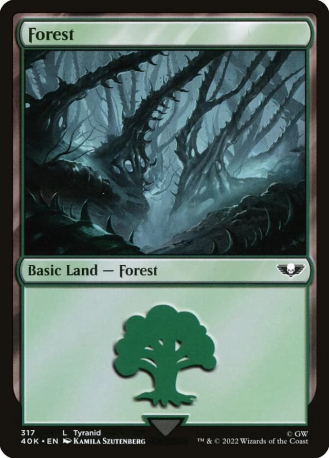 Forest image