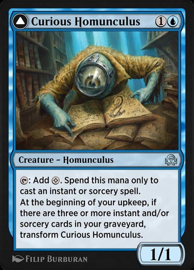 Curious Homunculus // Voracious Reader image