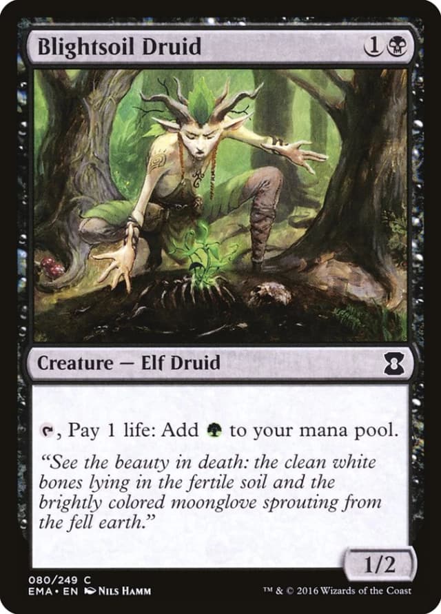 Blightsoil Druid image