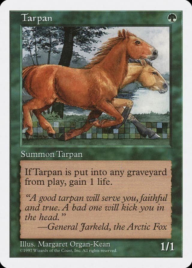 Tarpan image
