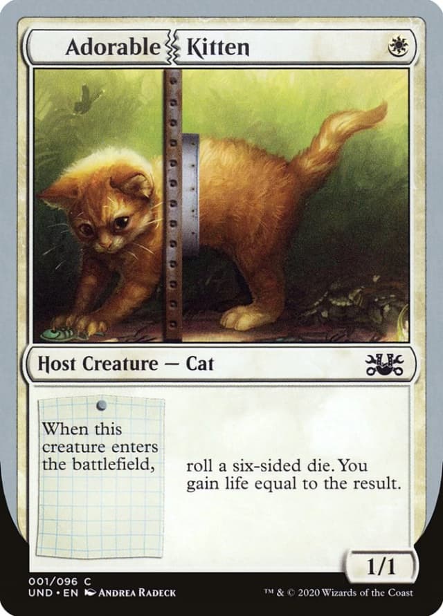 Adorable Kitten image