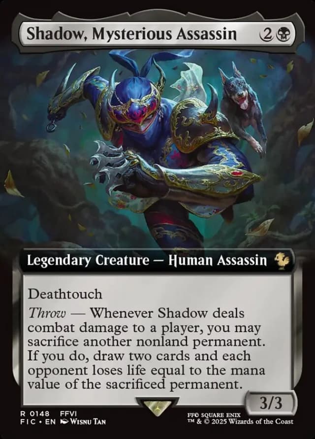 Shadow, Mysterious Assassin image