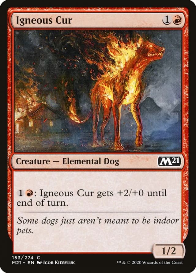 Igneous Cur image