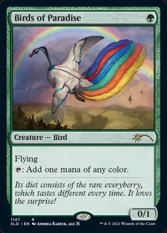 Birds of Paradise image