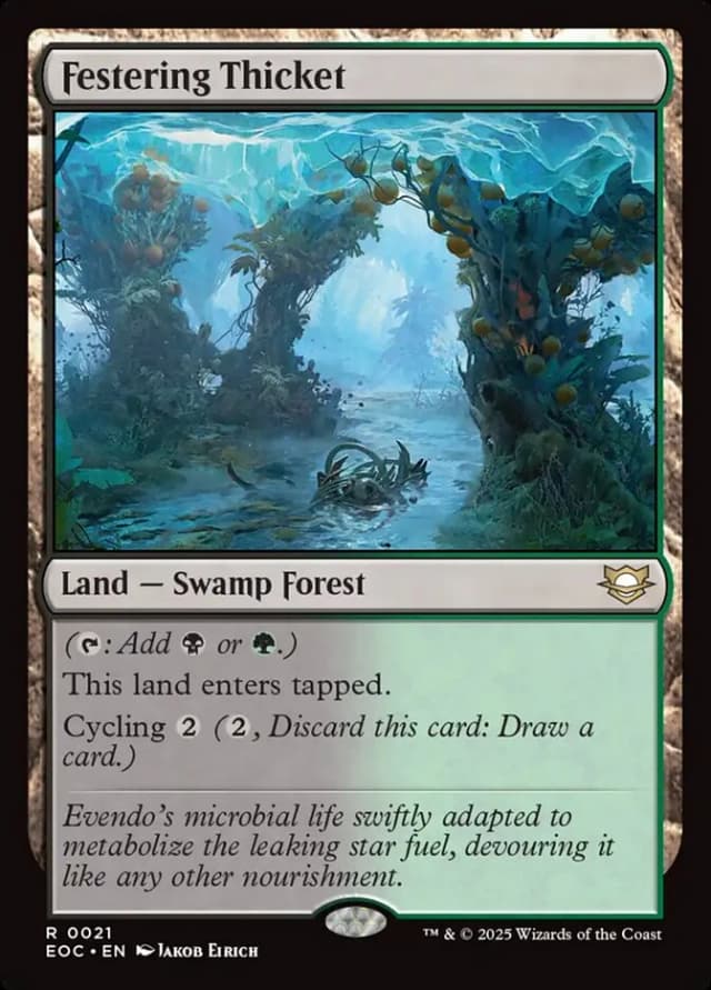 Festering Thicket image
