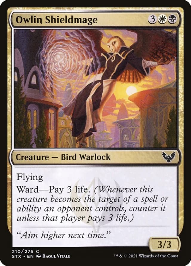 Owlin Shieldmage image