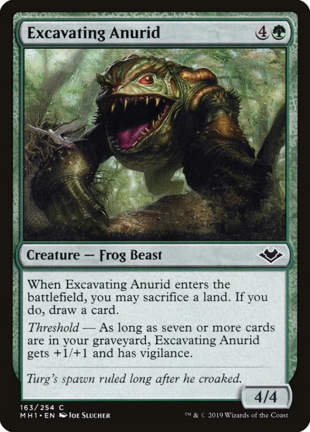 Excavating Anurid image