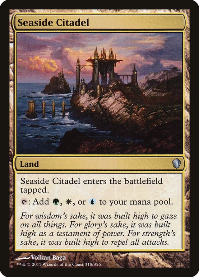Seaside Citadel image