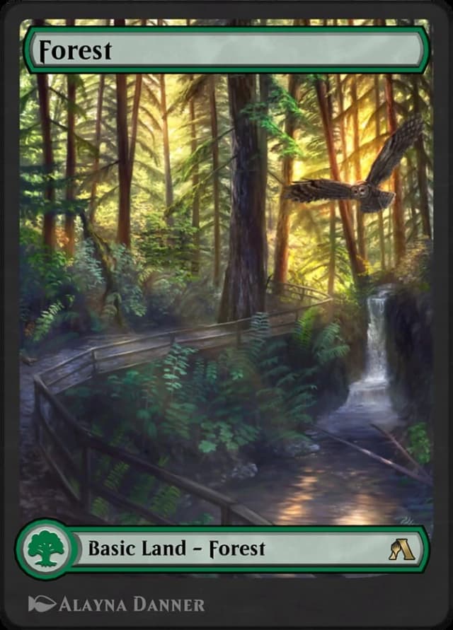 Forest image