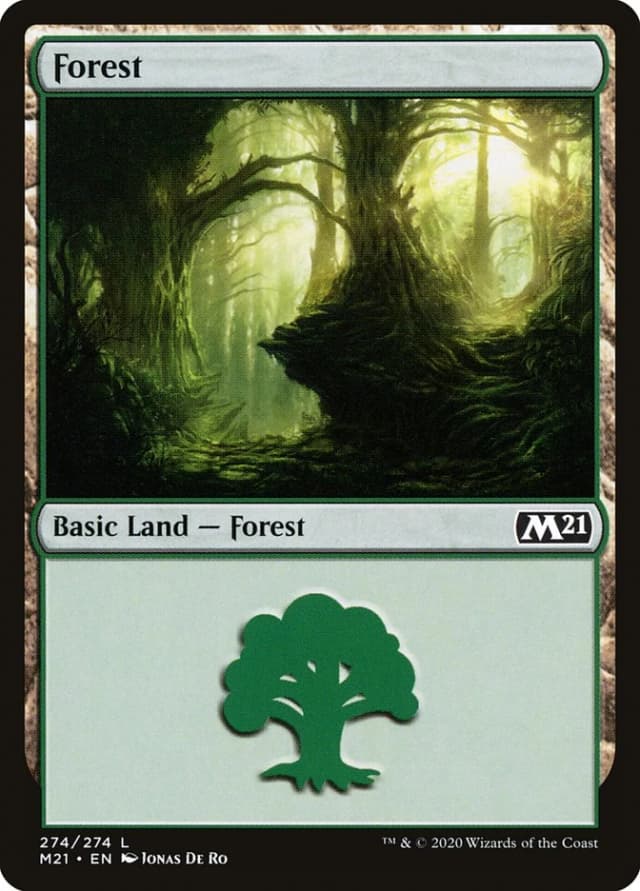 Forest image