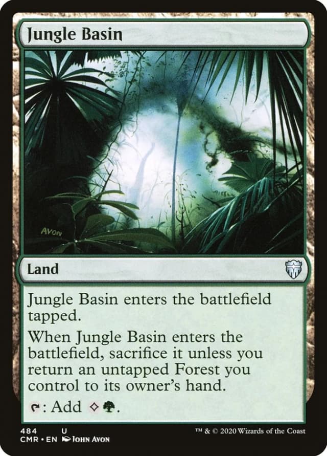 Jungle Basin image