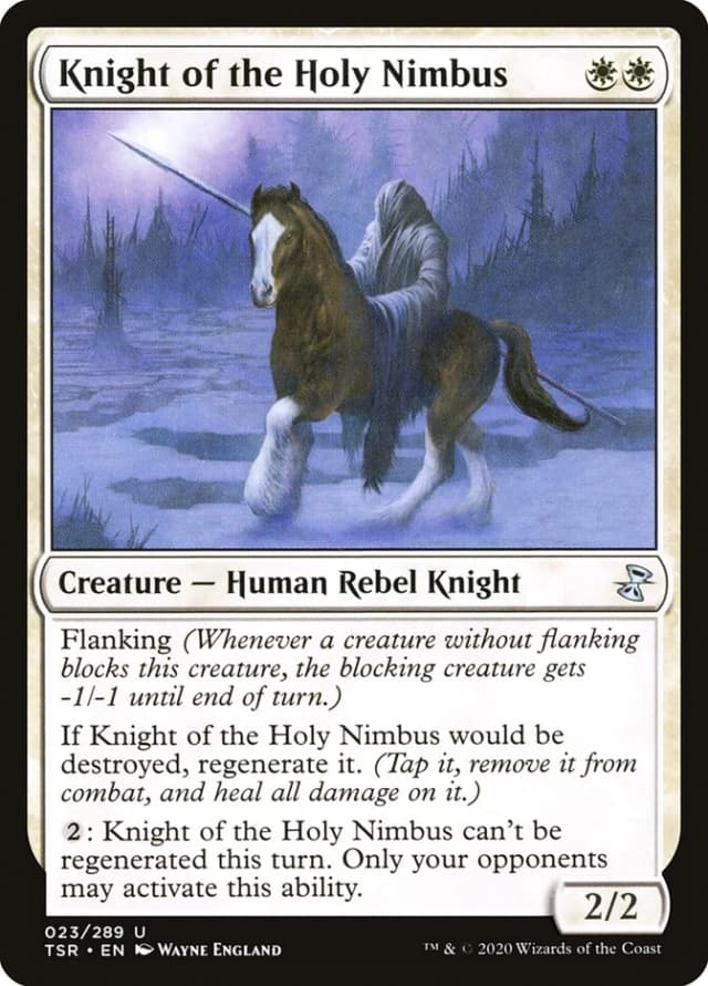 Knight of the Holy Nimbus image