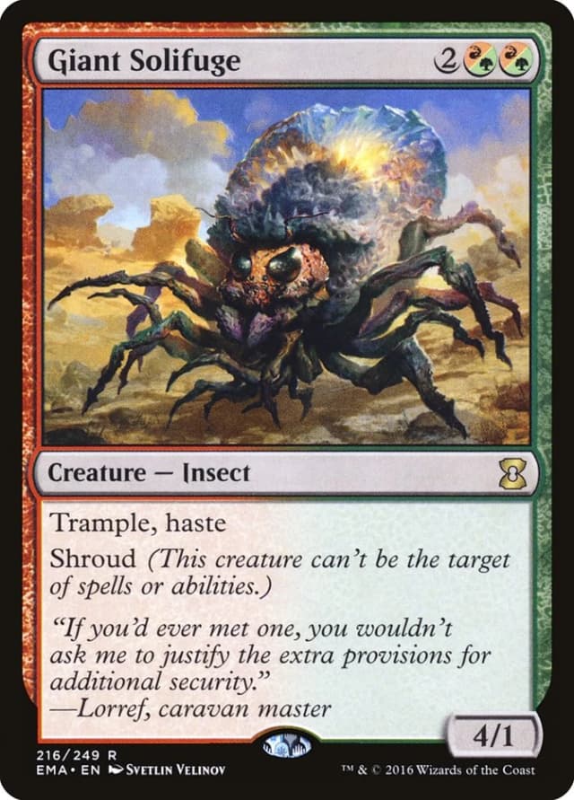 Giant Solifuge image