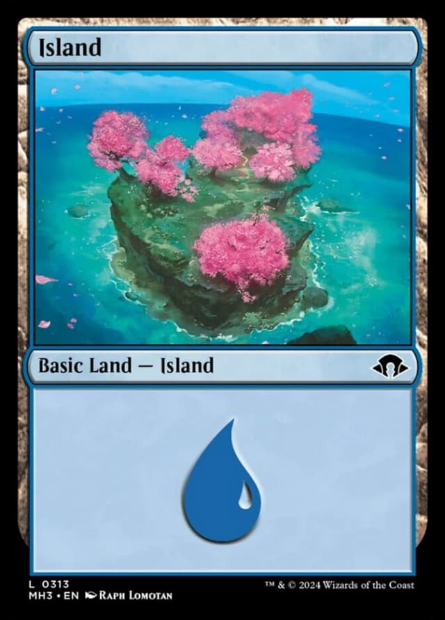 Island image