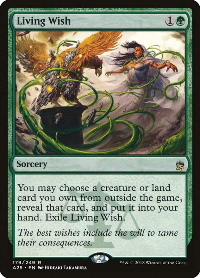 Living Wish image