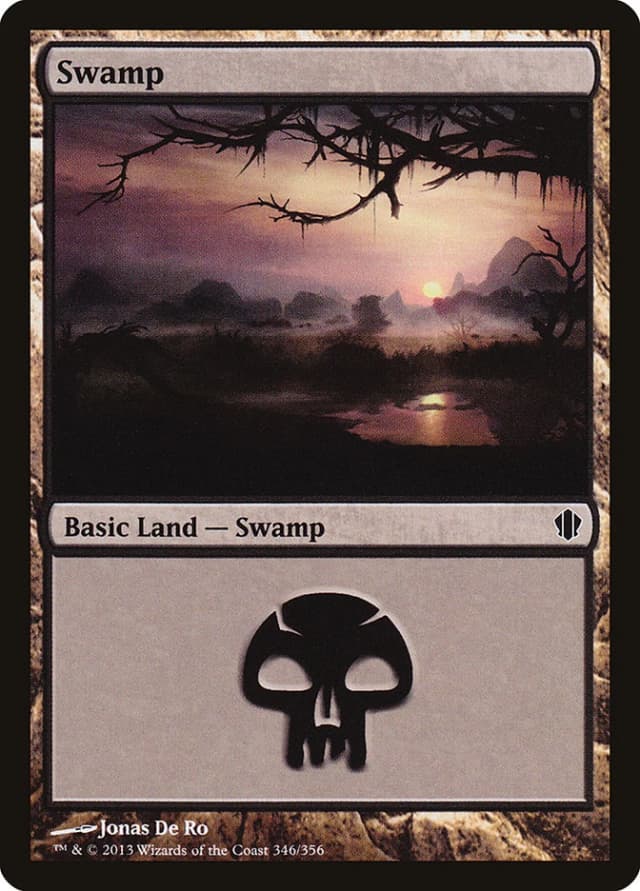 Swamp image