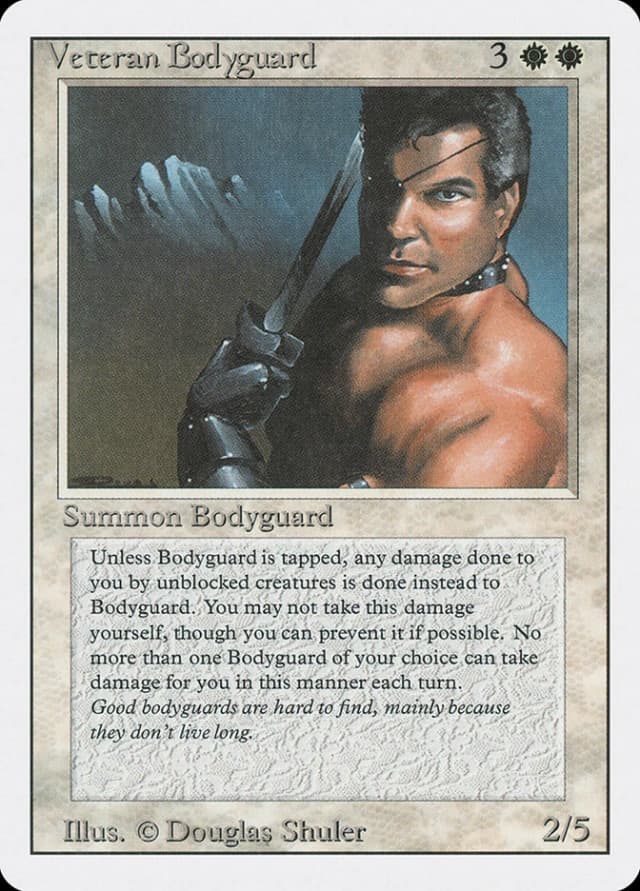Veteran Bodyguard image