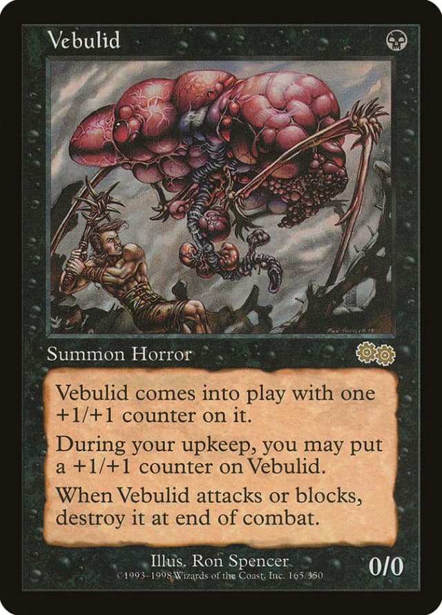 Vebulid image