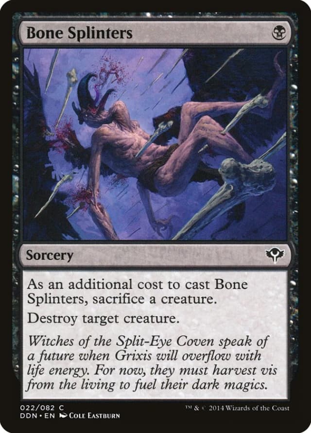 Bone Splinters image