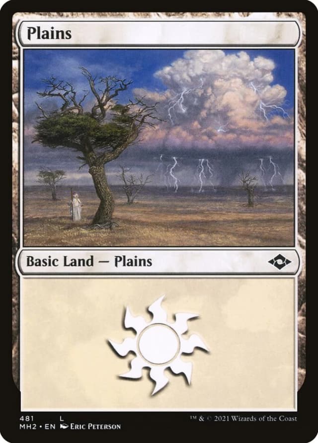 Plains image