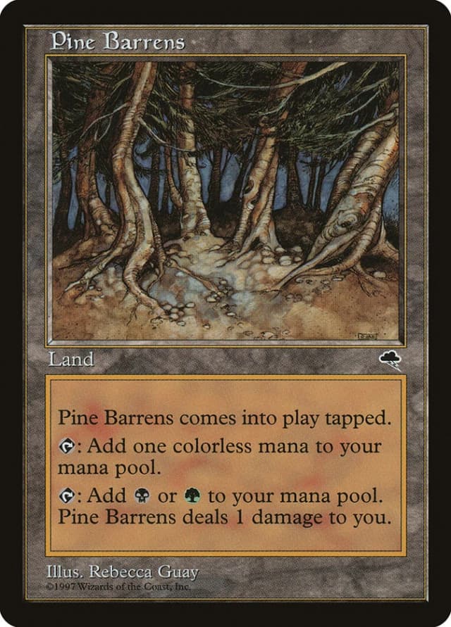 Pine Barrens image