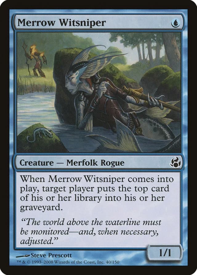 Merrow Witsniper image