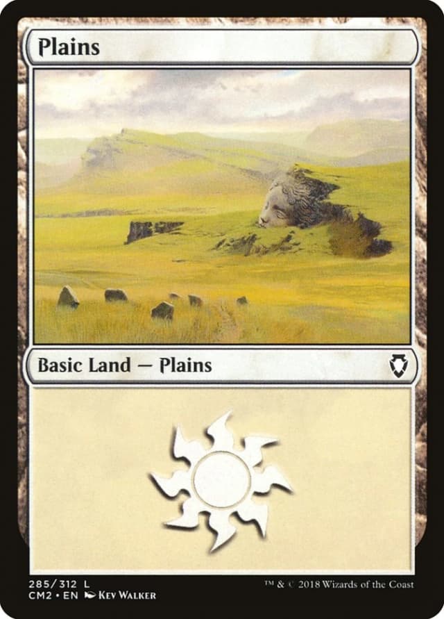 Plains image