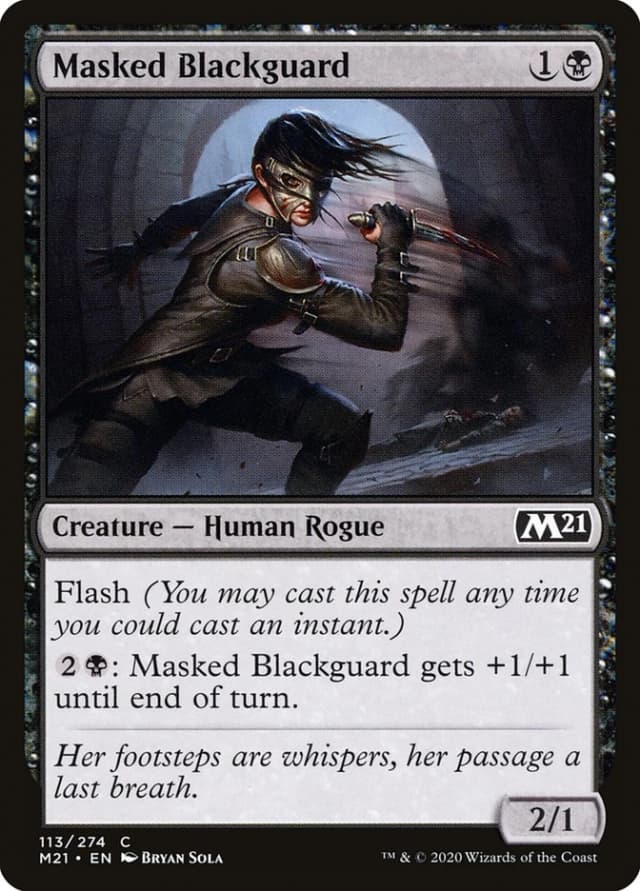 Masked Blackguard image