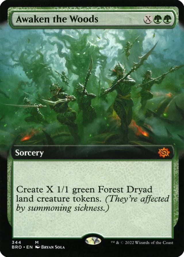 Awaken the Woods image