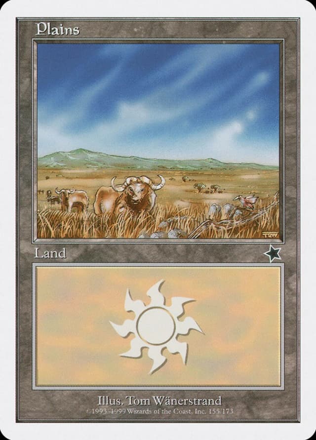 Plains image