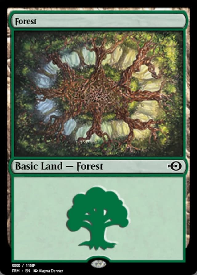 Forest image